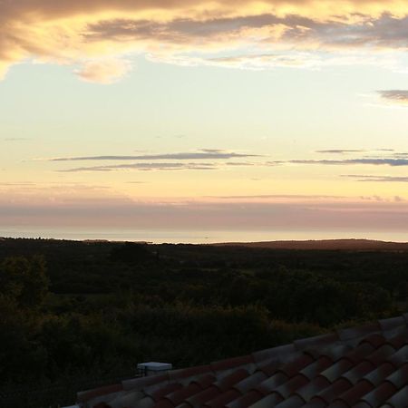 Villa Carolus-Luxurious Istrian Villa Barat  Εξωτερικό φωτογραφία