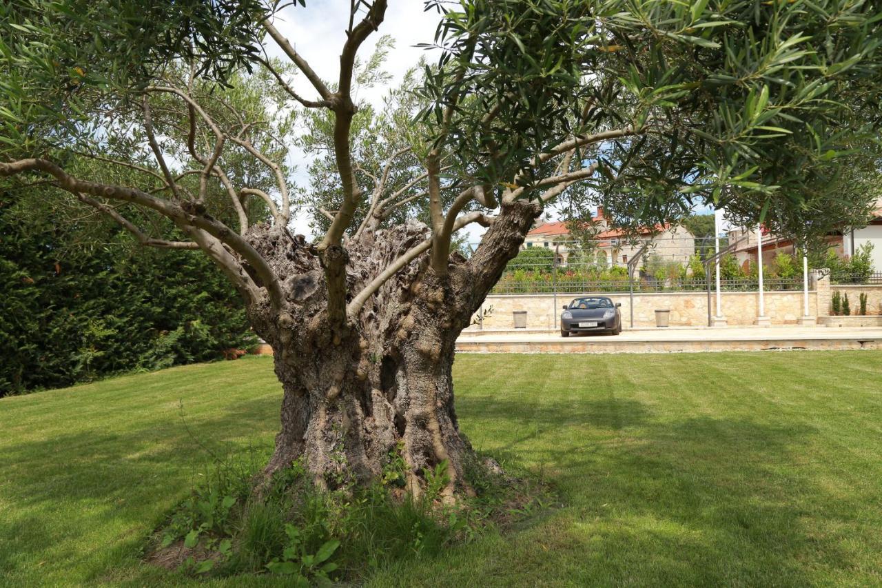 Villa Carolus-Luxurious Istrian Villa Barat  Εξωτερικό φωτογραφία